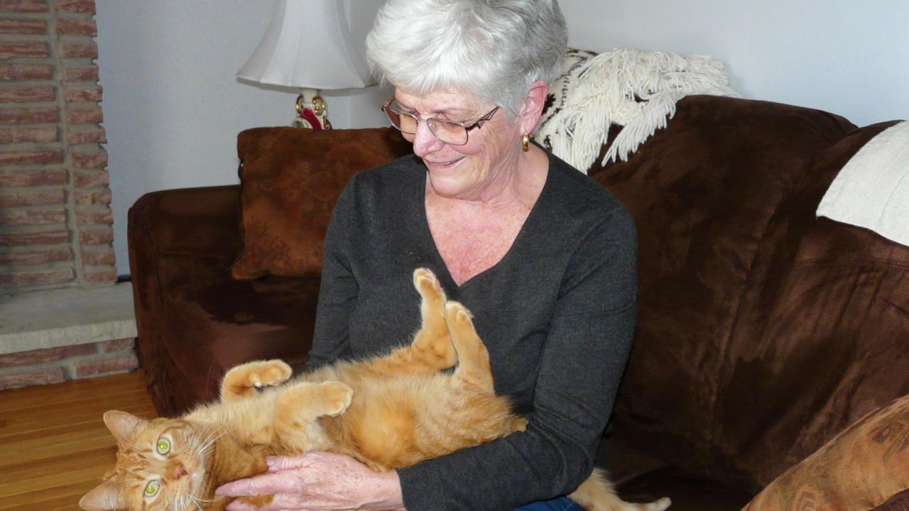 Feline hotsell assisted therapy
